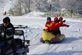 Snowmobiles and Other Snow Activities