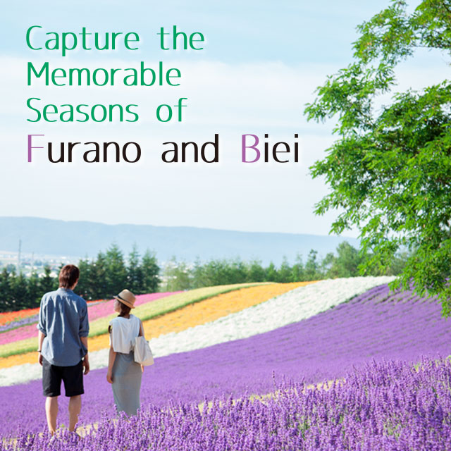 Capture the Memorable Seasons of Furano and Biei