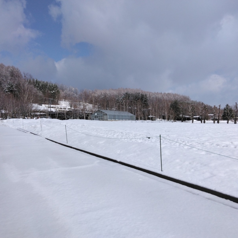 Farm Tomita -- March 27