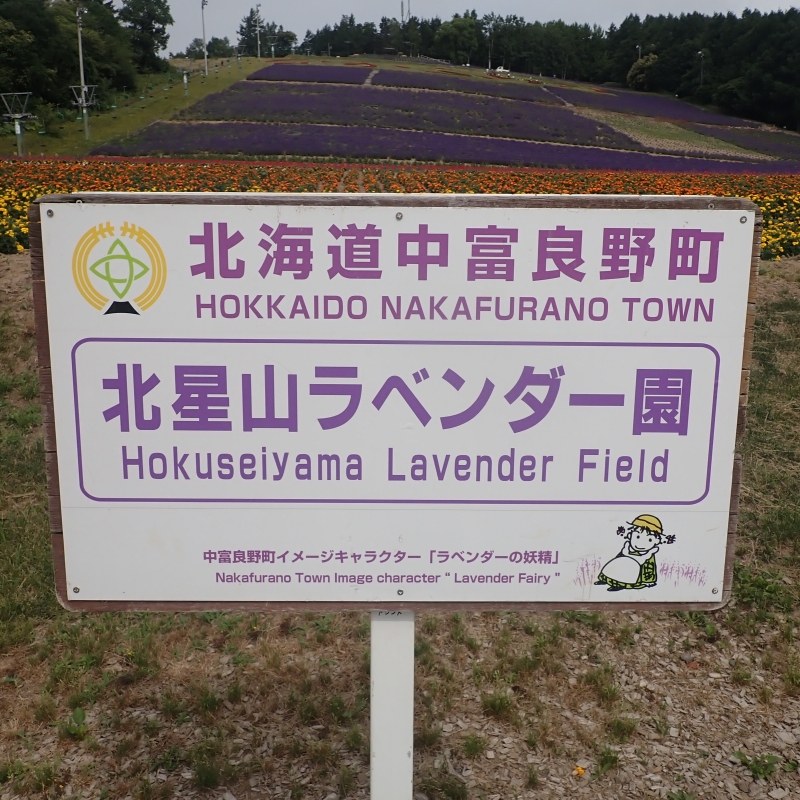 Nakafurno Municipal Lavender Field