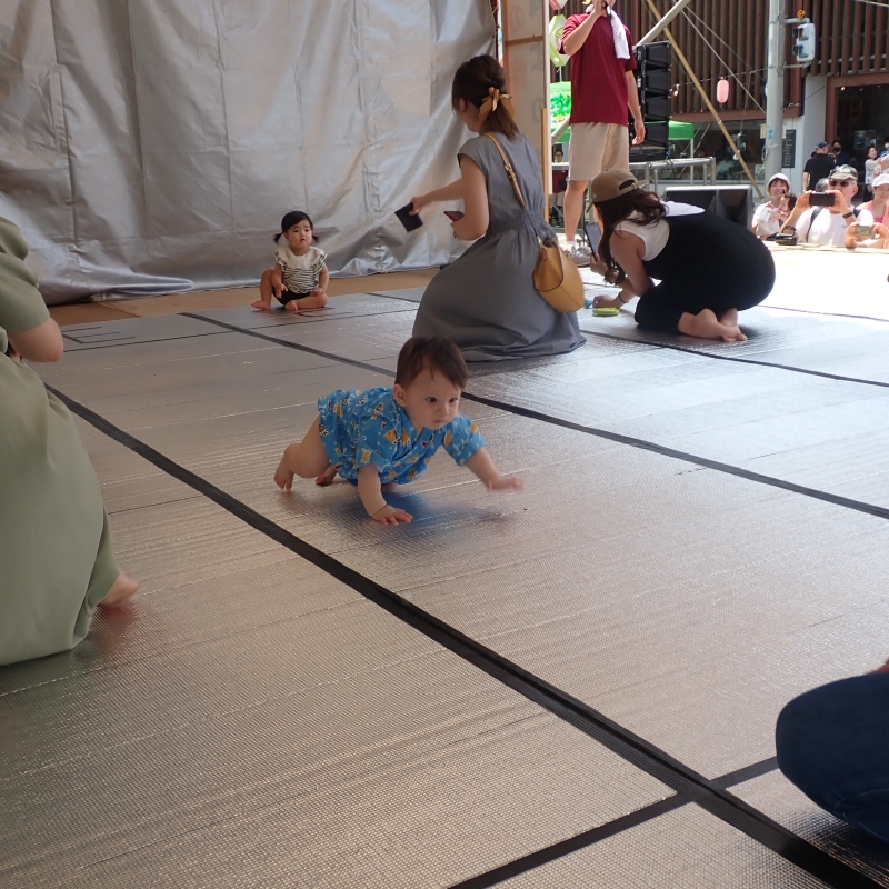 Baby crawling contest