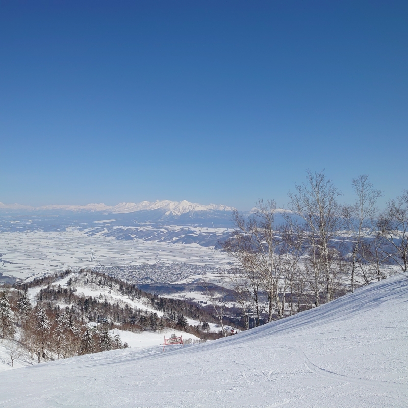 富良野スキー場